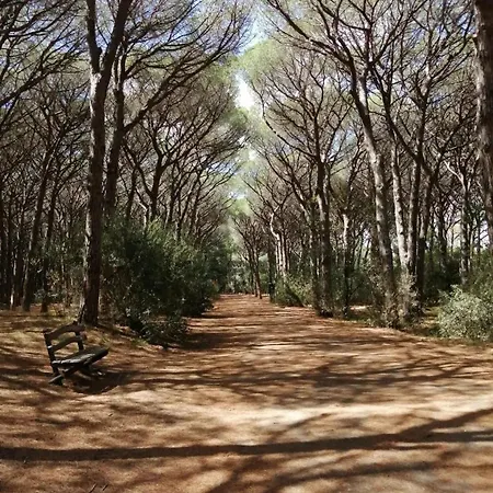 Bilocale Piano Terra Marina di Cecina