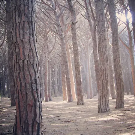 아파트 Bilocale Piano Terra