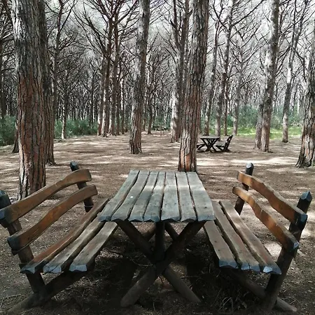 Bilocale Piano Terra 아파트 마리나디세시나